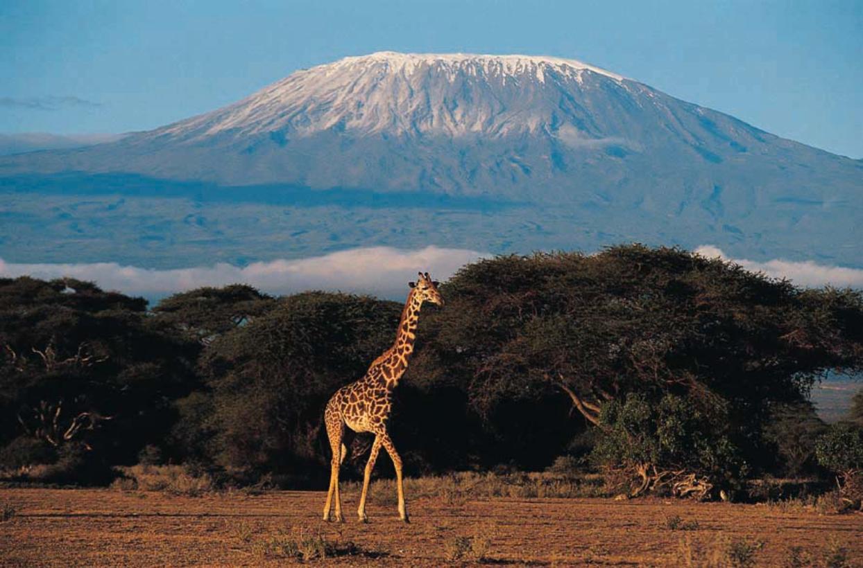 mont Kilimandjaro  002