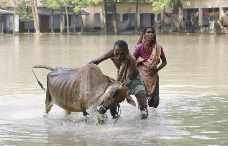 Le Bangla Desh est continuellement en problèmes climatiques.