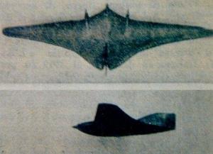 Ce type d'aile volante fut souvent aperçue à l'époque que nous relatons.