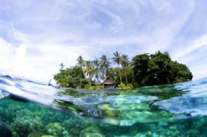 Ce ne sont pas les îles qui coulent,mais bien l'océan Pacifique qui voit son  niveau s'élever davantage.