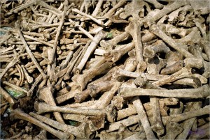 Plus de 70 ans après la bataille,on ramasse les os à la pelle.