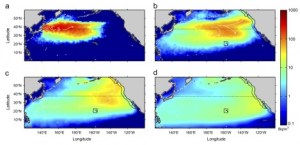 Graphique strontium 137
