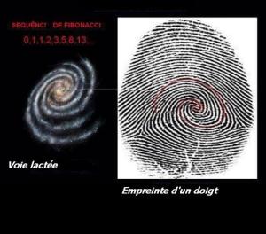 Une comparaison qui saute aux yeux