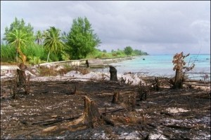 Une écologie durement frappée...des risques fort élevés de mutations.