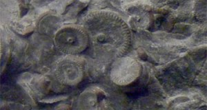 Quelles explications nous fournira la science officielle sur ces engrenages préhistoriques?