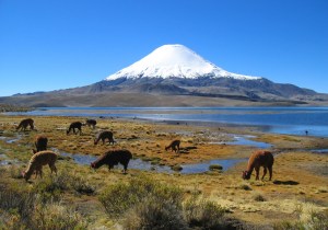 Volcán Parinacuta en Chile nos da un paisaje encantador.