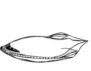 Chercheur russe Anton A. Anfalov dit que deux métiers de ce type auraient été saisis par la    Russes en 1945 dans les régions montagneuses de l'Europe de l'Est occupés par l'Armée rouge, andtransported à Zhitkur. Le dessin n'est pas à l'échelle, mais les objets étaient connus pour être très volumineux