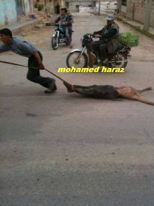 On retourne des siècles dans le passé.