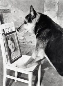 chien nazi dressage parole 003