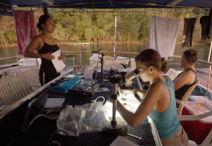 Au crépuscule, sur le pont supérieur du M / V Chertan, biologiste Anna Kluibenschedl, au microscope, les documents la vie marine qui poussent sur ​​une tuile retirée du récif au large de l'île Normanby.  