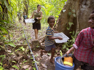 Les enfants aident biologiste Joy Smith baignoires panier en plastique de coraux et de sédiments à travers la jungle sur l'île Normanby, Papouasie-Nouvelle-Guinée. Elle cherche à savoir si le CO 2 pourrait nuire aux animaux minuscules au bas de la chaîne alimentaire marine. 