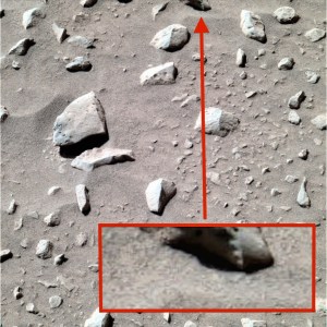 Un artéfact qui laisse supposer qu'une forme de vie est passée ici.