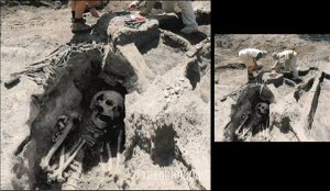 Géants crânes et ossemens 004