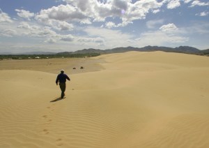 L'avancée de plus en plus rapide des déserts nous menacera nous -mêmes!...ainsi que de nombreuses espèces!