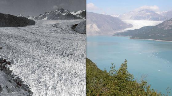 Fondu! Liens de glace du glacier de "Muir" -Gletscher en 1941. Tout est plein de glace. La photo de droite montre la zone dans l'État de l'Alaska à la même place 63 années plus tard, 