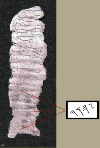 Les Rouleaux d'Argent ( ou Les amulettes de Ketef Hinnom ) découvert en 1979 , date de 625 av J-C ( Lien 1 , lien 2 )Sur un rouleau on peut lire le nom de Dieu écrit trois fois YHWH ( se lit de gauche a droite sur l'image   )
