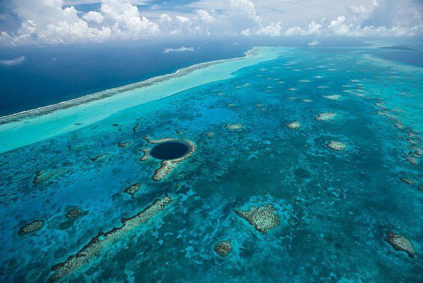 La barrière de corail de Belize peut ne pas être en mesure de correspondre à la Grande Barrière de corail australienne en termes de taille, mais il est certainement pour elle dans la beauté. L'incroyable étendue de l'océan est le foyer de l'un des écosystèmes les plus diversifiés au monde. Le récif étire un impressionnant 190 miles (300 km) de long et fait partie de la barrière de corail méso-américain, qui est le deuxième plus grand système de récifs coralliens dans le monde. La barrière de corail du Belize est le foyer de plus de 500 espèces de poissons, 70 espèces de coraux durs et 36 espèces de coraux mous. Peut-être plus impressionnant de tous cependant, est le fait que près de 90% de la superficie doit encore être étudié, suggérant que, jusqu'ici, seulement 10% de toutes les espèces dans la barrière de corail ont été découverts! 