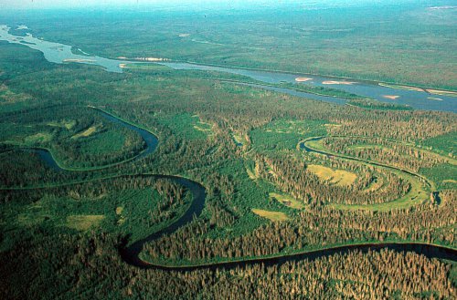 CC Pembina Institute - Forêt boréale le long de la rivière Athabasca / 