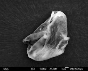 La récolte extra-terrestre   En 2013, quand des scientifiques britanniques ont lancé un ballon dans la stratosphère, ils ont été étonnés de constater qu’à son retour, il contenait de minuscules organismes vivants. Les scientifiques croient que ces organismes ne peuvent pas venir d’ailleurs que de l’espace 