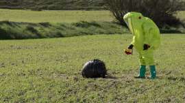 D'étranges objets sphériques tombés du ciel.