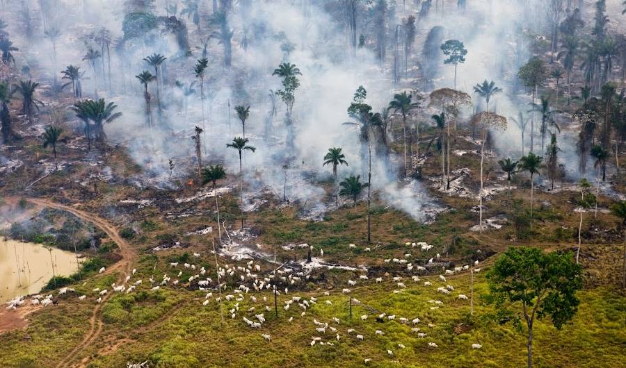 Les grands incendies de forêts sont liées au réchauffement climatique.
