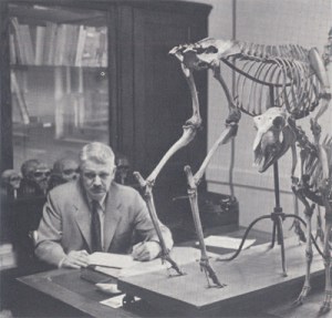 Carleton Stevens Coon