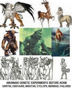 Les  expériences sur des races terrestres avant la réussite de l'homo sapiens.