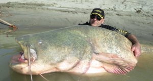 Il a pris de sérieux risques ainsi rapproché de l'animal.