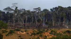 deforestation-en-amazonie_4105170