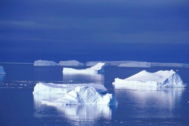 icebergs_dans_l_ocean_austral