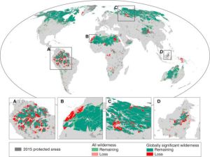 Les régions les plus impactées sont l'Amazonie et l'Afrique centrale, avec des pertes respectives de 30% et de 14%.2016 Elsevier Ltd. Published by Elsevier Inc