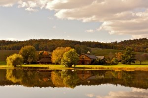 Il est le propriétaire et gérant de la très prospère Trump Winery basée à Charlottesville. 