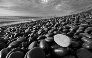 copyrighted_image_reuse_prohibited_463551