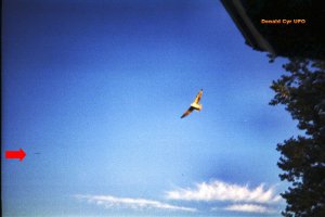 Vaisseau-mere- et fleche-1