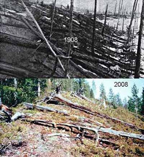 tunguska2 (1)